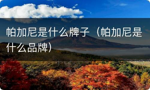 帕加尼是什么牌子（帕加尼是什么品牌）