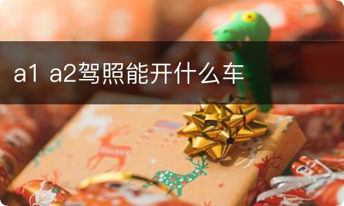 a1 a2驾照能开什么车