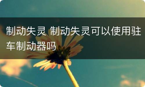 制动失灵 制动失灵可以使用驻车制动器吗