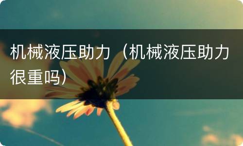 机械液压助力（机械液压助力很重吗）