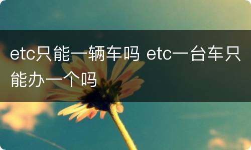 etc只能一辆车吗 etc一台车只能办一个吗