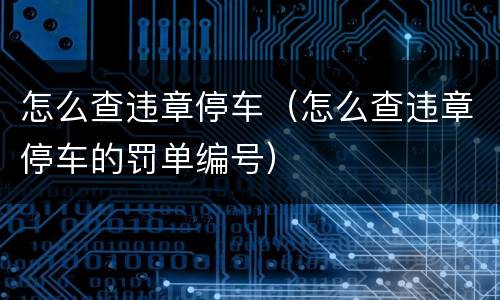 怎么查违章停车（怎么查违章停车的罚单编号）