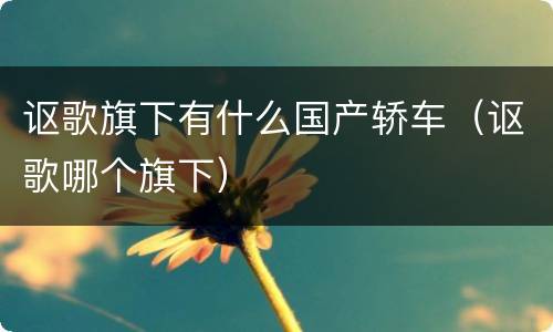 讴歌旗下有什么国产轿车（讴歌哪个旗下）