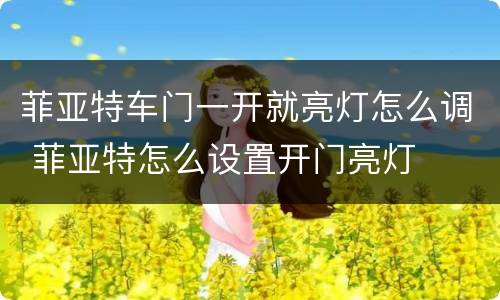 菲亚特车门一开就亮灯怎么调 菲亚特怎么设置开门亮灯