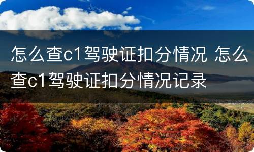 怎么查c1驾驶证扣分情况 怎么查c1驾驶证扣分情况记录