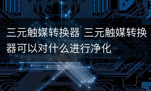 三元触媒转换器 三元触媒转换器可以对什么进行净化