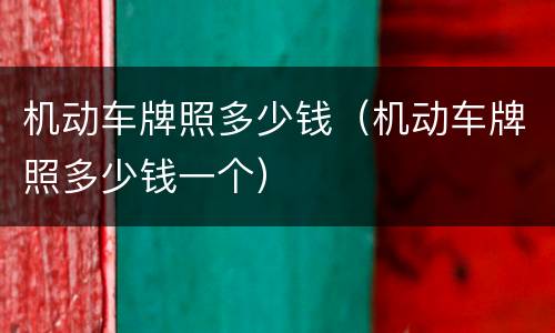 机动车牌照多少钱（机动车牌照多少钱一个）