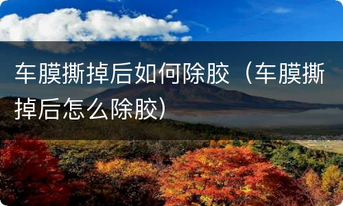 车膜撕掉后如何除胶（车膜撕掉后怎么除胶）