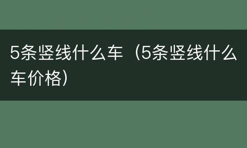 5条竖线什么车（5条竖线什么车价格）
