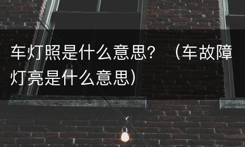 车灯照是什么意思？（车故障灯亮是什么意思）