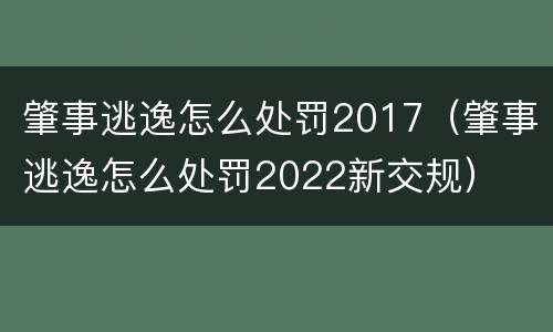 肇事逃逸怎么处罚2017（肇事逃逸怎么处罚2022新交规）