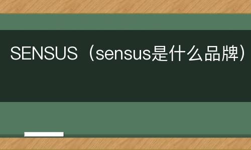 SENSUS（sensus是什么品牌）