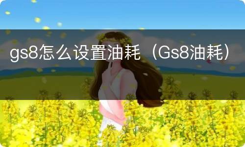 gs8怎么设置油耗（Gs8油耗）