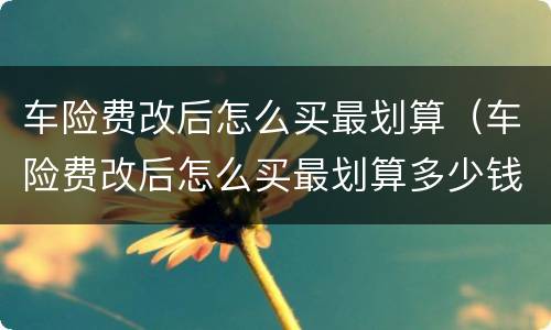 车险费改后怎么买最划算（车险费改后怎么买最划算多少钱）