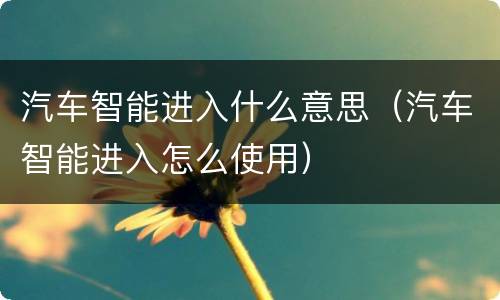 汽车智能进入什么意思（汽车智能进入怎么使用）