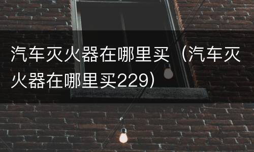 汽车灭火器在哪里买（汽车灭火器在哪里买229）