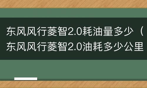 东风风行菱智2.0耗油量多少（东风风行菱智2.0油耗多少公里）