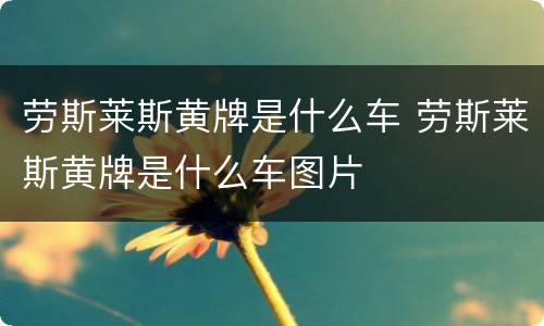 劳斯莱斯黄牌是什么车 劳斯莱斯黄牌是什么车图片