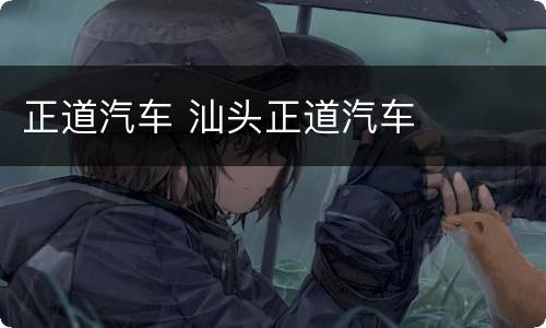正道汽车 汕头正道汽车