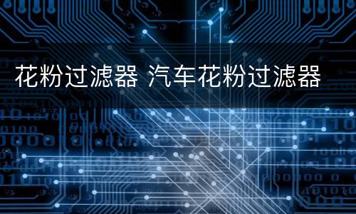 花粉过滤器 汽车花粉过滤器