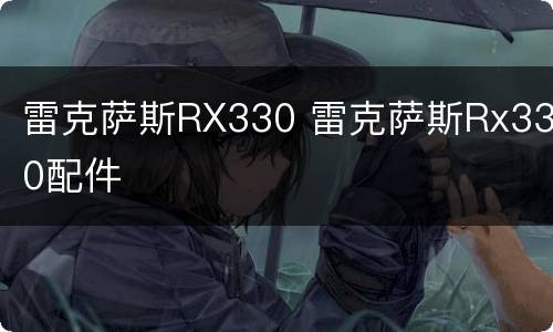 雷克萨斯RX330 雷克萨斯Rx330配件