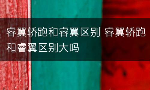 睿翼轿跑和睿翼区别 睿翼轿跑和睿翼区别大吗