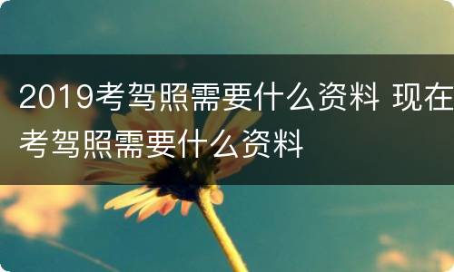 2019考驾照需要什么资料 现在考驾照需要什么资料