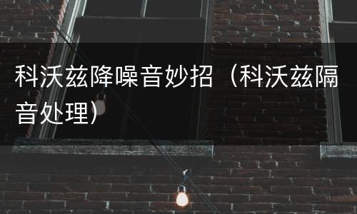 科沃兹降噪音妙招（科沃兹隔音处理）