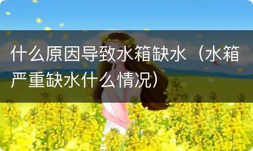 什么原因导致水箱缺水（水箱严重缺水什么情况）