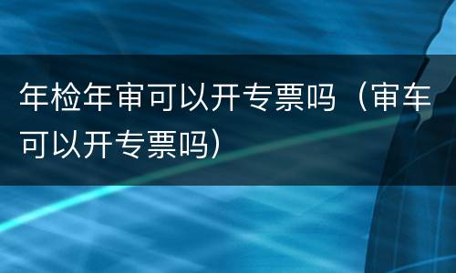 年检年审可以开专票吗（审车可以开专票吗）