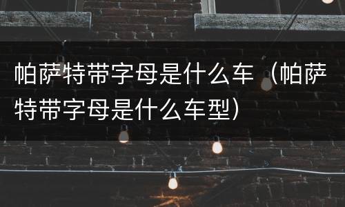 帕萨特带字母是什么车（帕萨特带字母是什么车型）