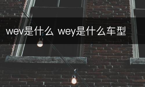 wev是什么 wey是什么车型