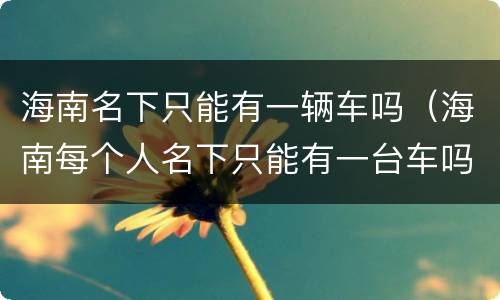 海南名下只能有一辆车吗（海南每个人名下只能有一台车吗）