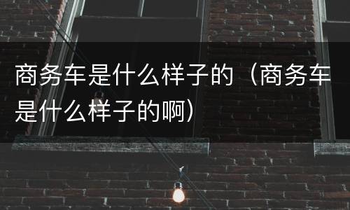 商务车是什么样子的（商务车是什么样子的啊）