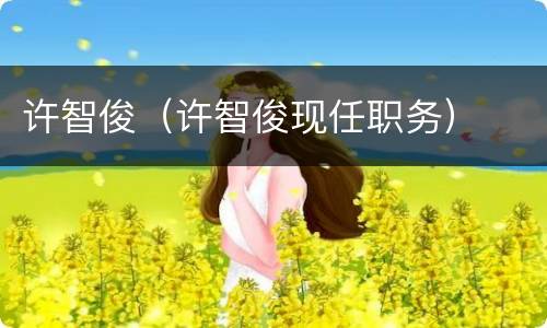许智俊（许智俊现任职务）