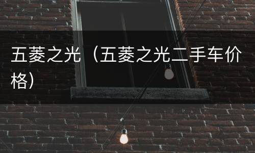 五菱之光（五菱之光二手车价格）