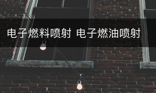 电子燃料喷射 电子燃油喷射