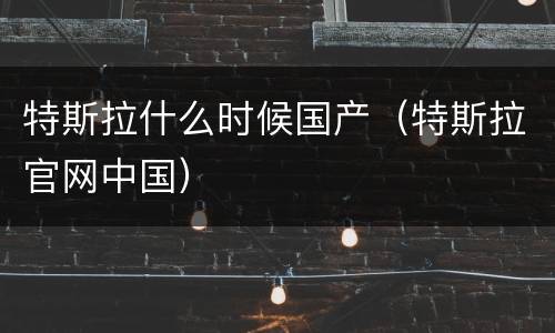 特斯拉什么时候国产（特斯拉官网中国）