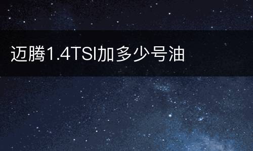 迈腾1.4TSI加多少号油