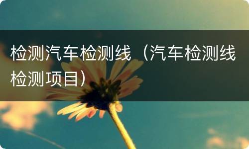 检测汽车检测线（汽车检测线检测项目）