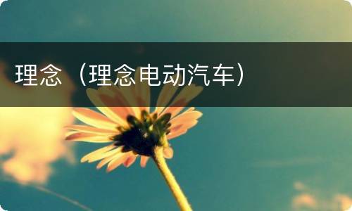 理念（理念电动汽车）