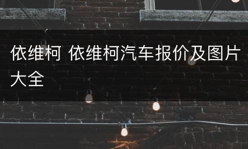 依维柯 依维柯汽车报价及图片大全
