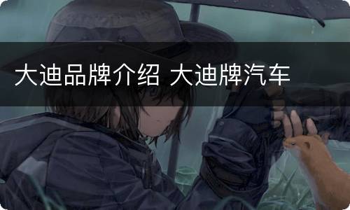 大迪品牌介绍 大迪牌汽车