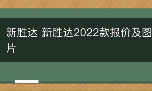 新胜达 新胜达2022款报价及图片