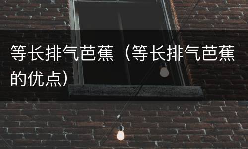 等长排气芭蕉（等长排气芭蕉的优点）