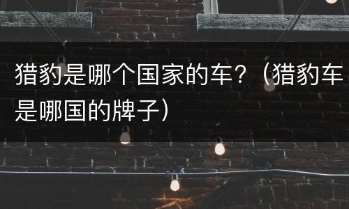 猎豹是哪个国家的车?（猎豹车是哪国的牌子）