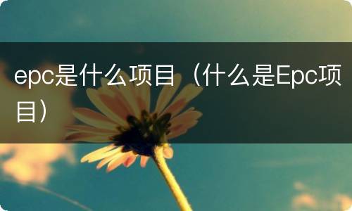 epc是什么项目（什么是Epc项目）