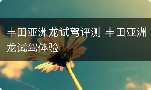 丰田亚洲龙试驾评测 丰田亚洲龙试驾体验
