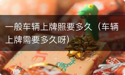 一般车辆上牌照要多久（车辆上牌需要多久呀）