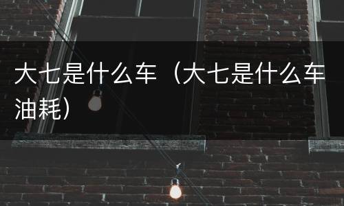 大七是什么车（大七是什么车油耗）